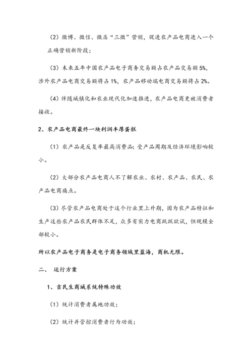 电子商务营销专项策划专业方案.docx