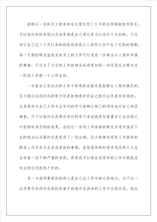 新员工试用期转正工作总结10