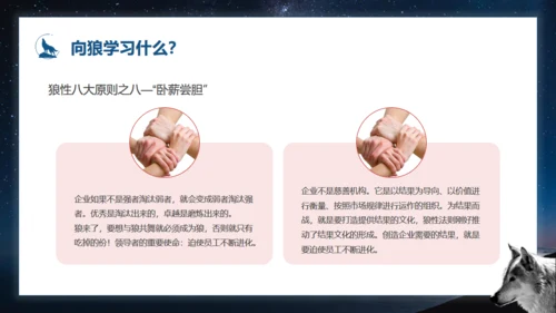 如何打造狼性团队培训狼文件通用PPT模板