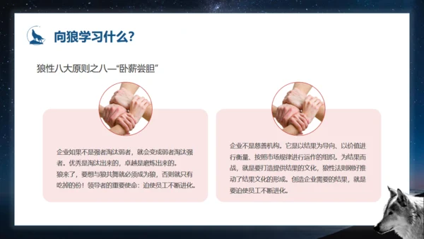 如何打造狼性团队培训狼文件通用PPT模板