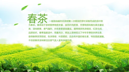 绿茶红茶茶叶茶厂茶文化茶道春茶PPT模板