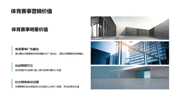 体育营销：全球视角