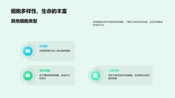 细胞结构与功能解析
