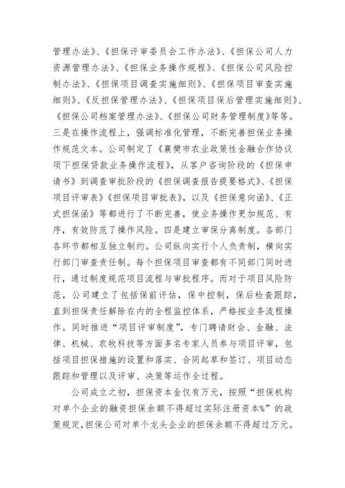 2023年融资担保公司年终总结(十篇).docx