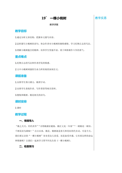 第五单元 19 一棵小桃树 教学详案