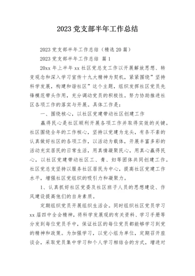 2023党支部半年工作总结.docx