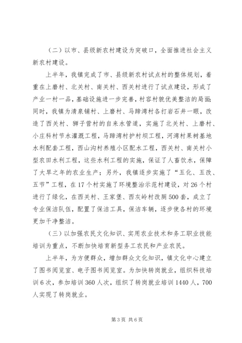 乡镇政府上半年工作总结.docx
