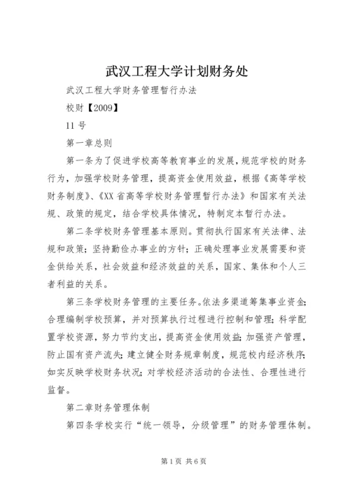 武汉工程大学计划财务处 (2).docx