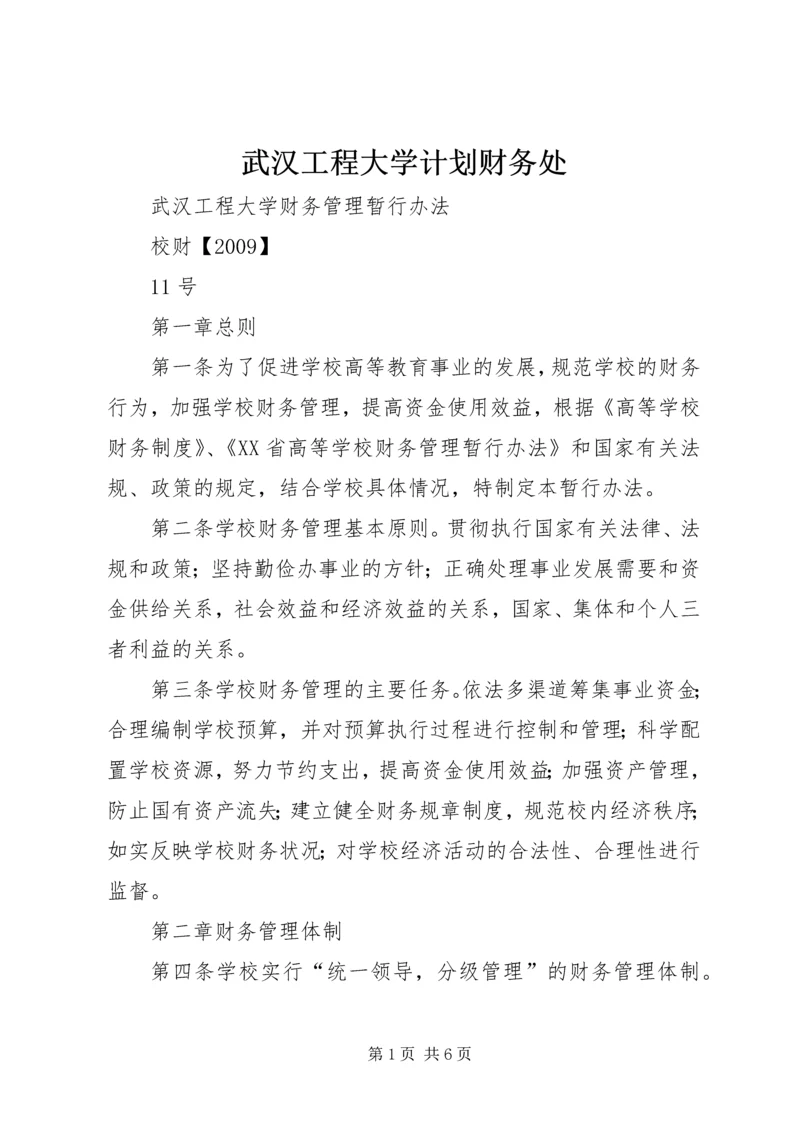 武汉工程大学计划财务处 (2).docx