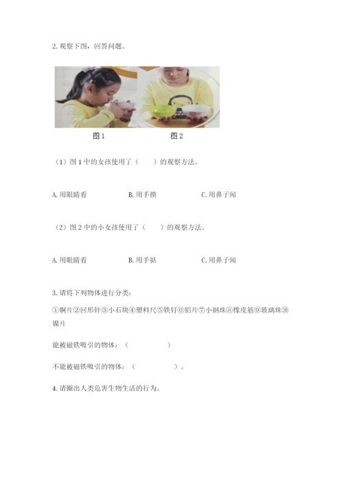 教科版科学二年级上册期末测试卷（网校专用）.docx