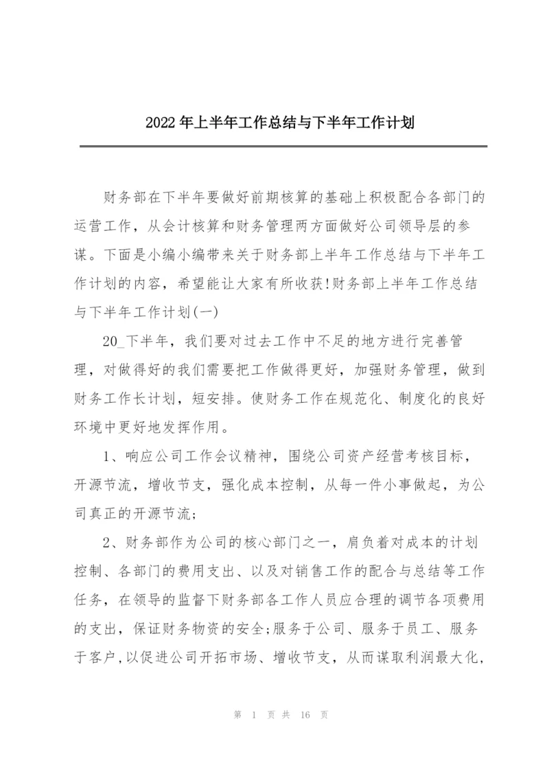 2022年上半年工作总结与下半年工作计划.docx