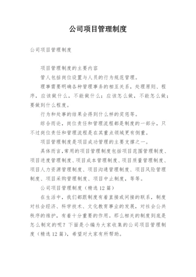 公司项目管理制度_2.docx