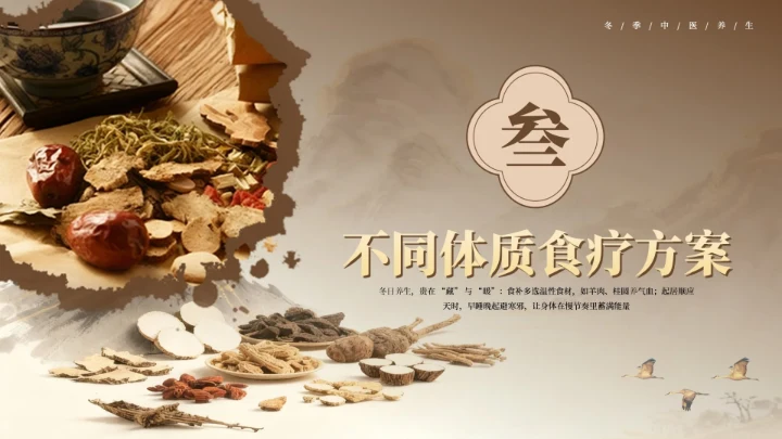棕色国风冬季养生PPT模板