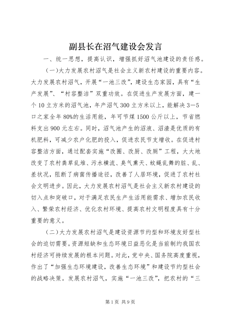 副县长在沼气建设会发言.docx