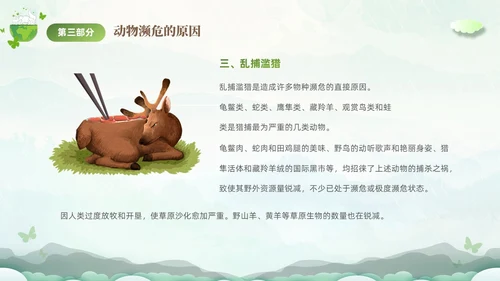 绿色清新剪纸风保护濒危动物拯救美好生命主题PPT世界动物日