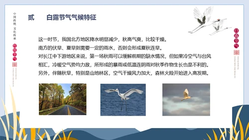 白露节气白鹤通用PPT模版
