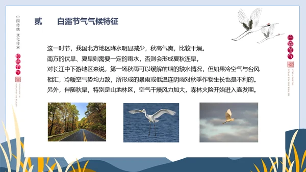 白露节气白鹤通用PPT模版