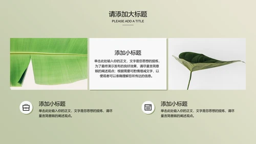 浅绿色极简光影小清新通用PPT演示模板