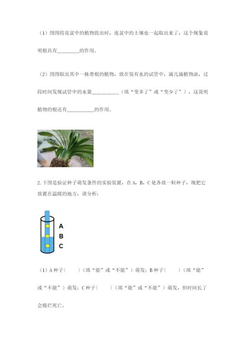 科学四年级下册第一单元植物的生长变化测试卷（含答案）.docx