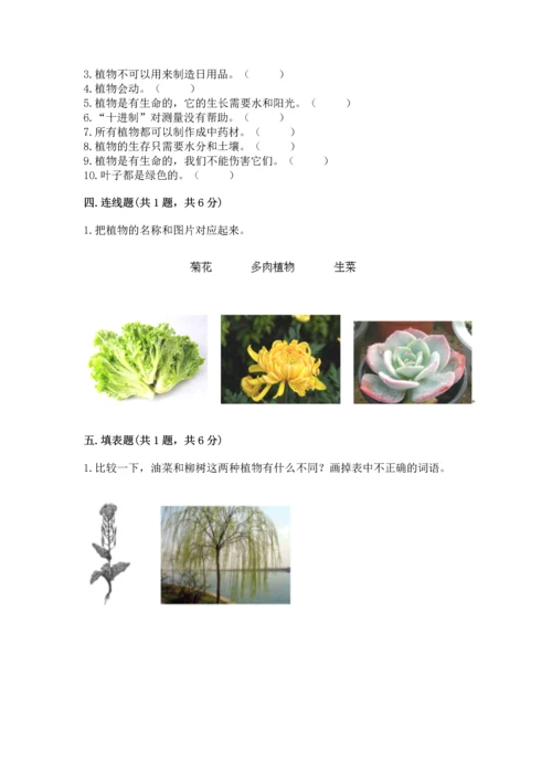 教科版一年级上册科学期末测试卷及答案【基础+提升】.docx