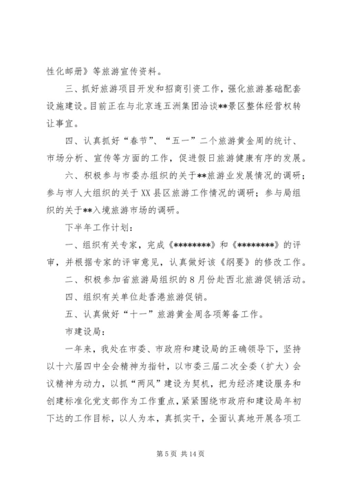 市旅游局上半年工作总结和下半年工作计划计划.docx