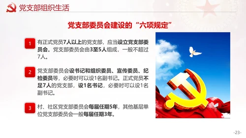 党的支部工作条例解读PPT课件