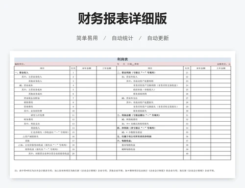 财务报表详细版