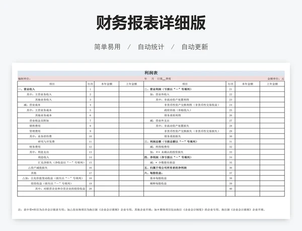 财务报表详细版