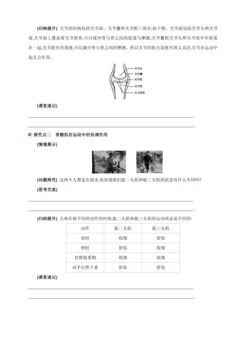 5.2.1动物的运动【2024秋人教八上生物精彩课堂（素材+教案+导学案）】