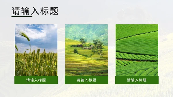 绿色实景我的家乡旅游PPT模板