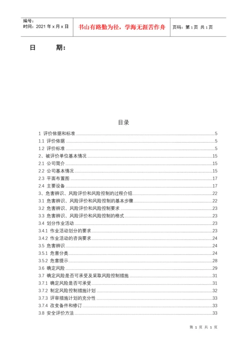 职业健康安全安全评价报告.docx