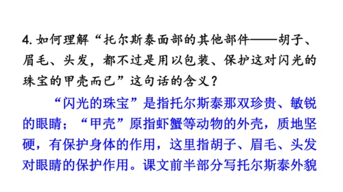 3 列夫·托尔斯泰 课件