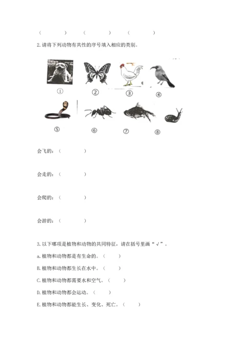 教科版一年级下册科学期末测试卷（综合卷）.docx
