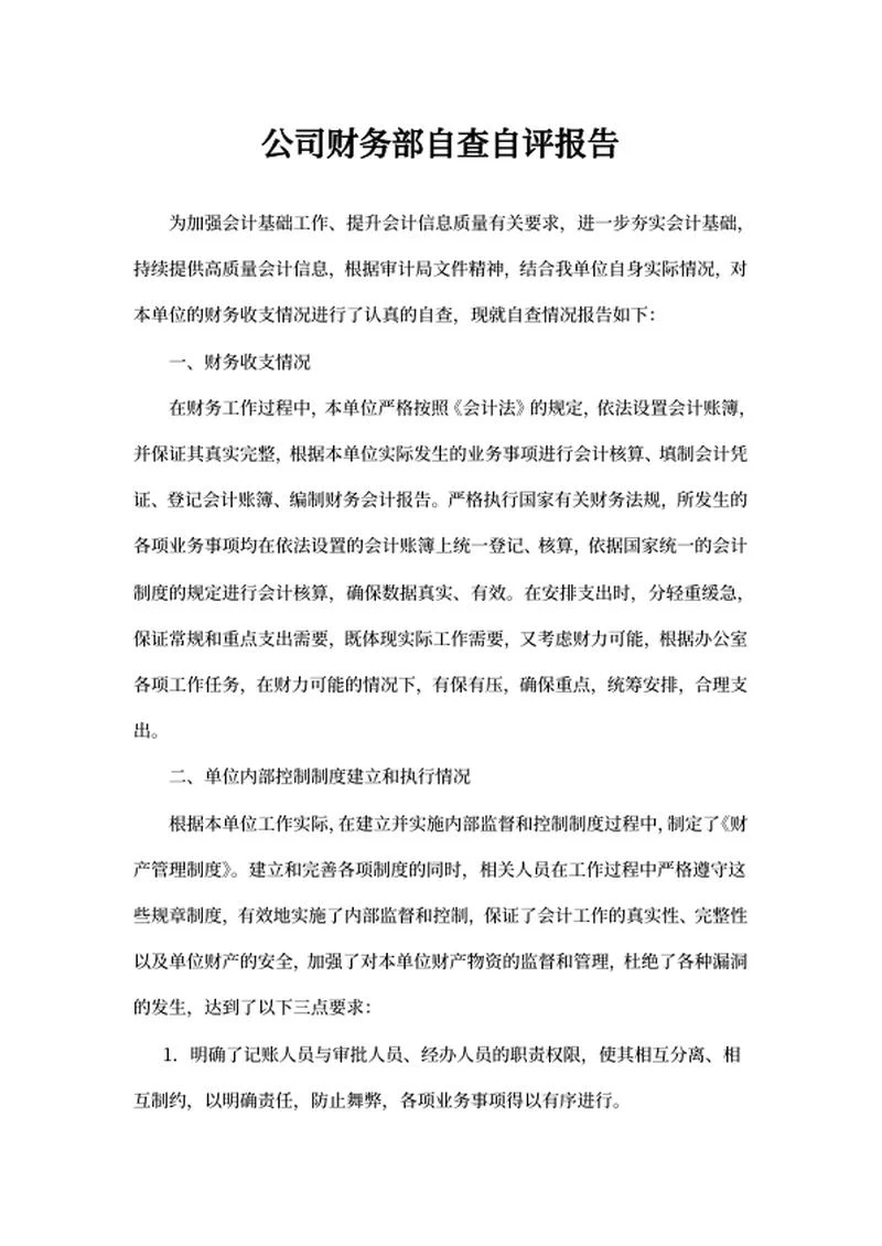 公司财务部自查自评报告word模板