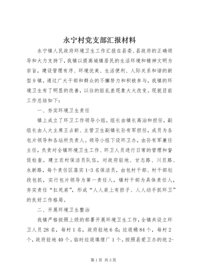 永宁村党支部汇报材料 (3).docx