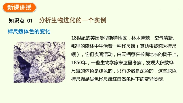 7.3.3生物进化的原因-八年级生物人教版下学期同步精品课件(共44张PPT)
