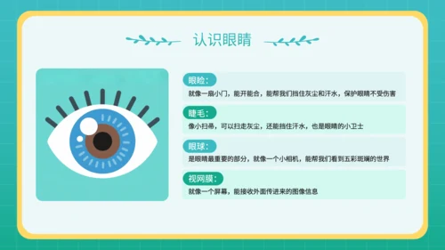 蓝色插画风幼儿园教学课件五官保护小课堂PPT