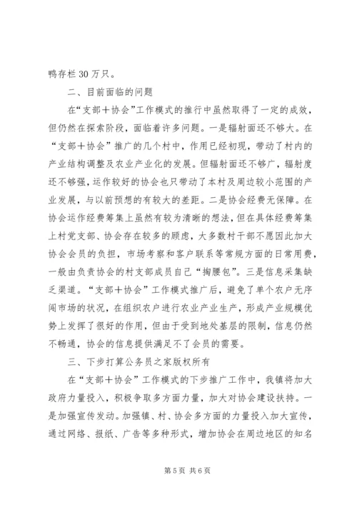 乡镇支部协会工作情况汇报.docx