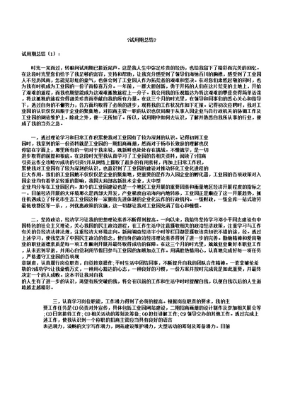 试用期总结计划10篇