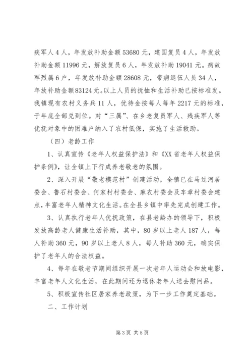 乡镇民政办工作总结及工作计划.docx