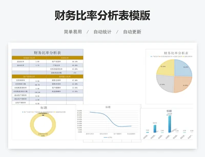 财务比率分析表模版