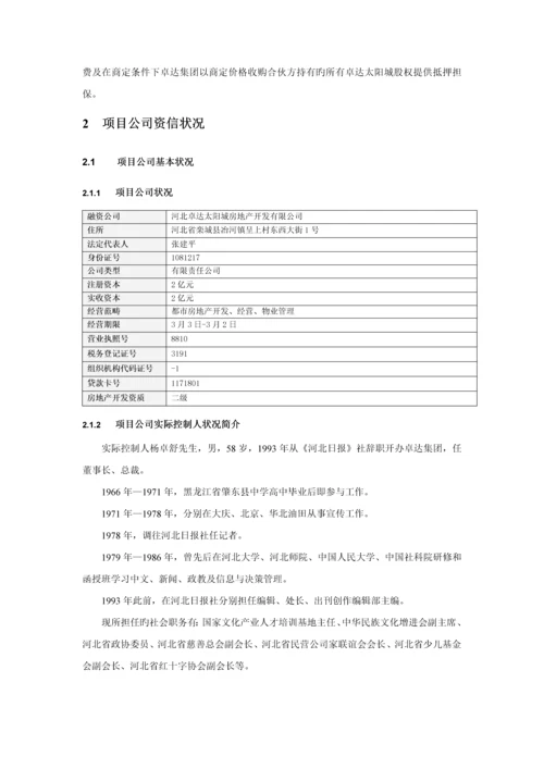 房地产股权投资专项项目尽职详细调查汇总报告.docx