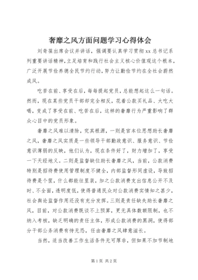 奢靡之风方面问题学习心得体会 (2).docx