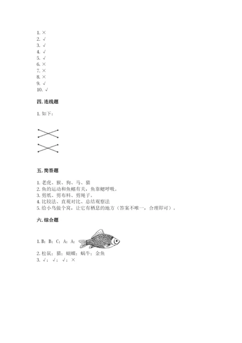 教科版一年级下册科学期末测试卷精品（全优）.docx