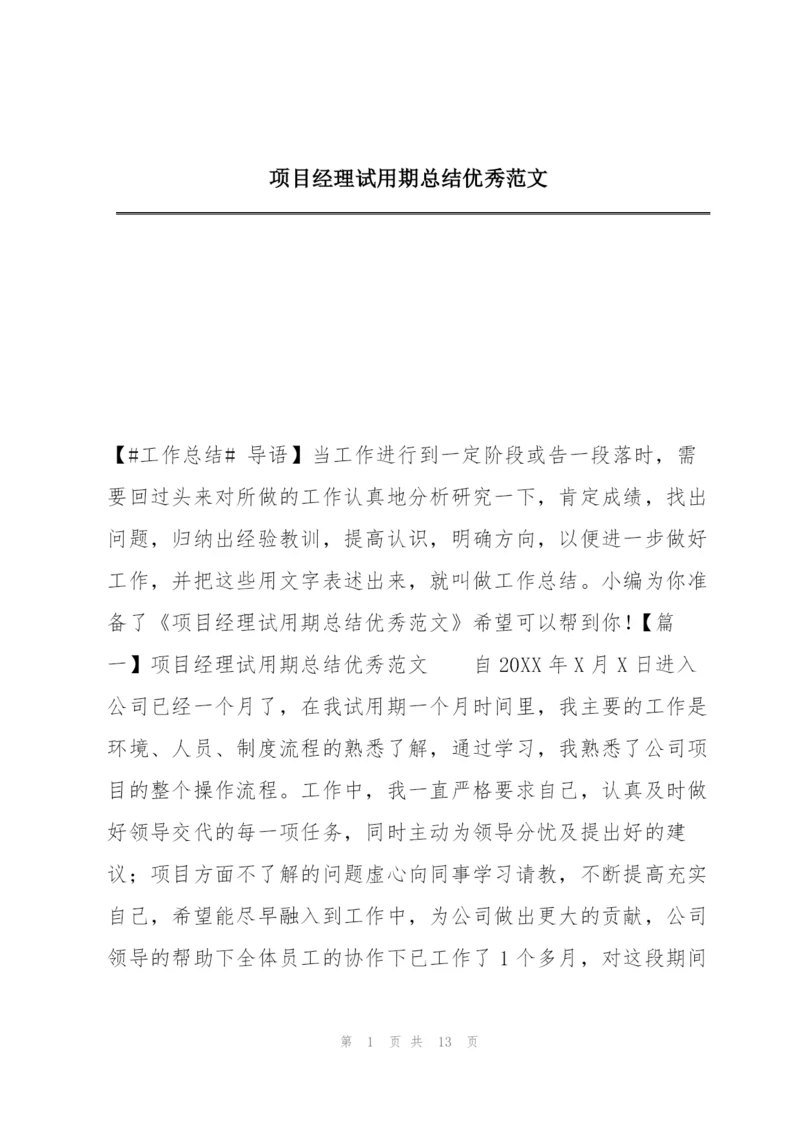 项目经理试用期总结优秀范文.docx