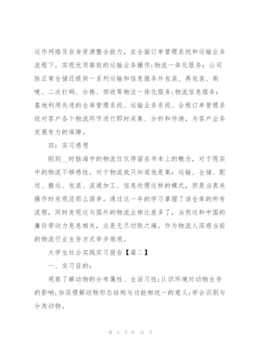 2022年大学生社会实践实习报告范文.docx