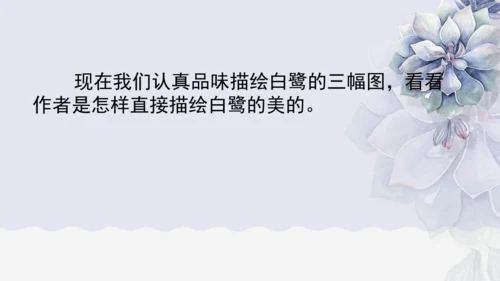 《1 白鹭》课件