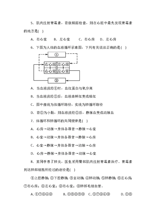 部编初中生物下册心脏必考知识点