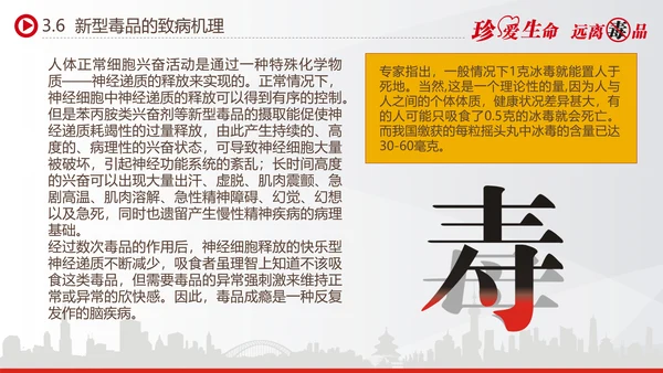 世界禁毒日宣传禁毒知识教学PPT模板