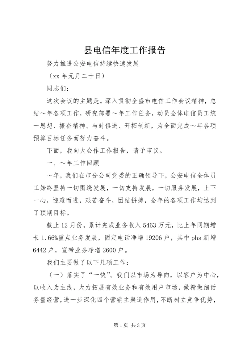 县电信年度工作报告 (10).docx